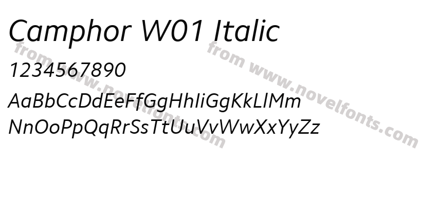 Camphor W01 ItalicPreview