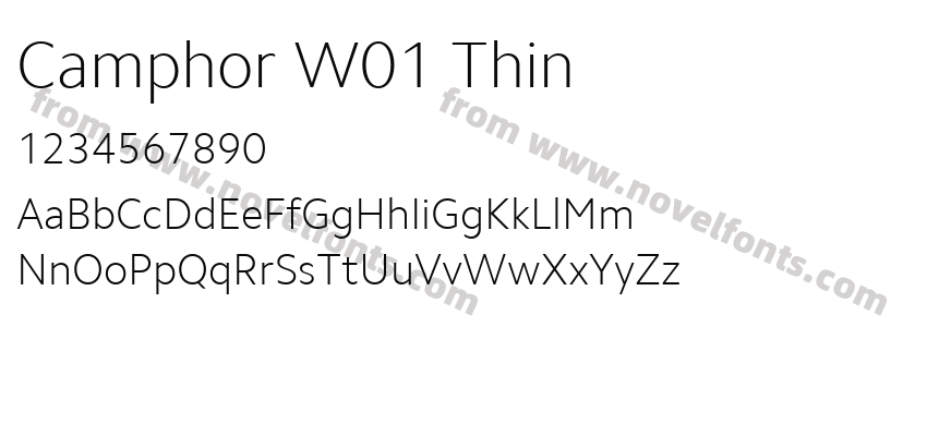 Camphor W01 ThinPreview