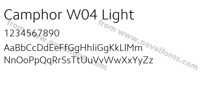 Camphor W04 LightPreview