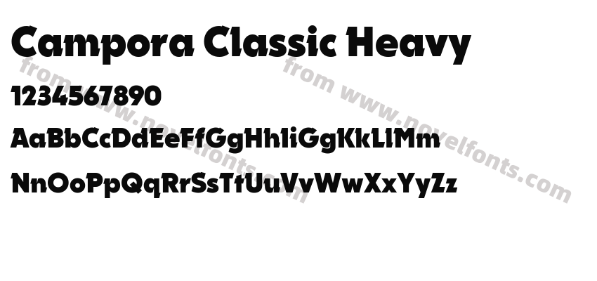 Campora Classic HeavyPreview
