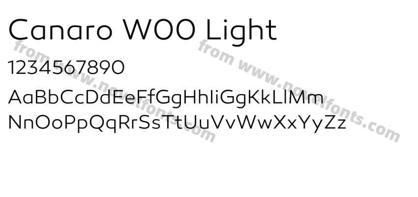 Canaro W00 LightPreview