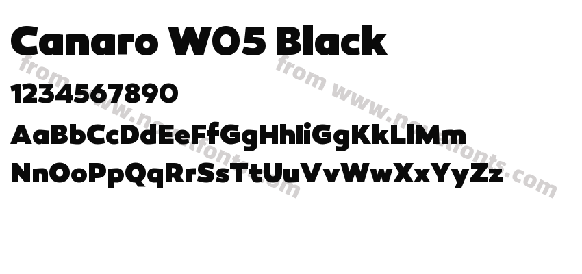 Canaro W05 BlackPreview