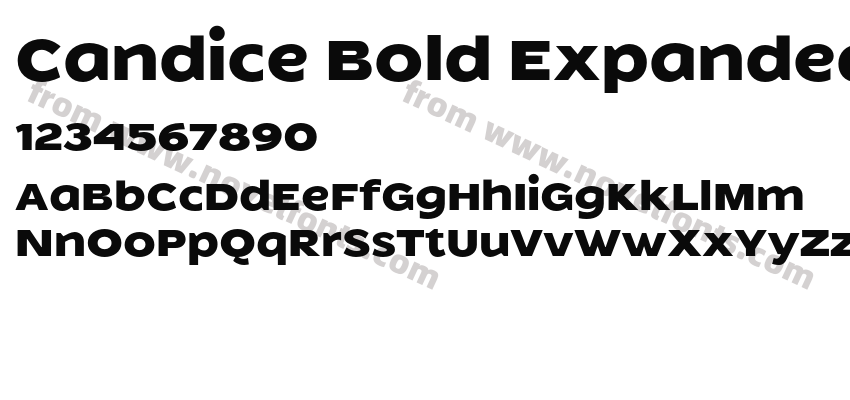 Candice Bold ExpandedPreview
