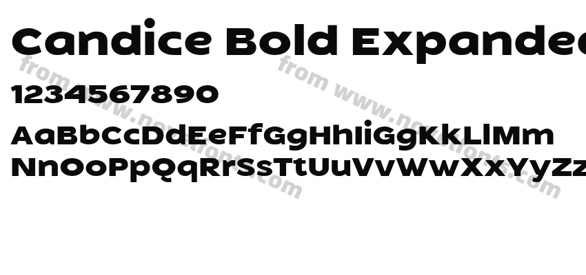 Candice Bold ExpandedPreview