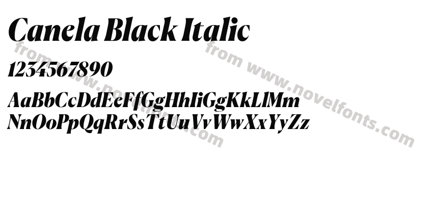 Canela Black ItalicPreview