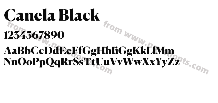 Canela BlackPreview