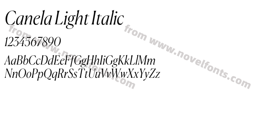 Canela Light ItalicPreview