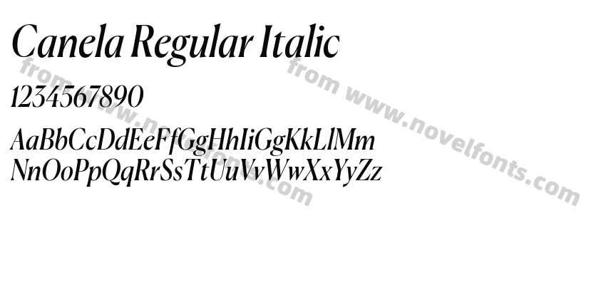 Canela Regular ItalicPreview