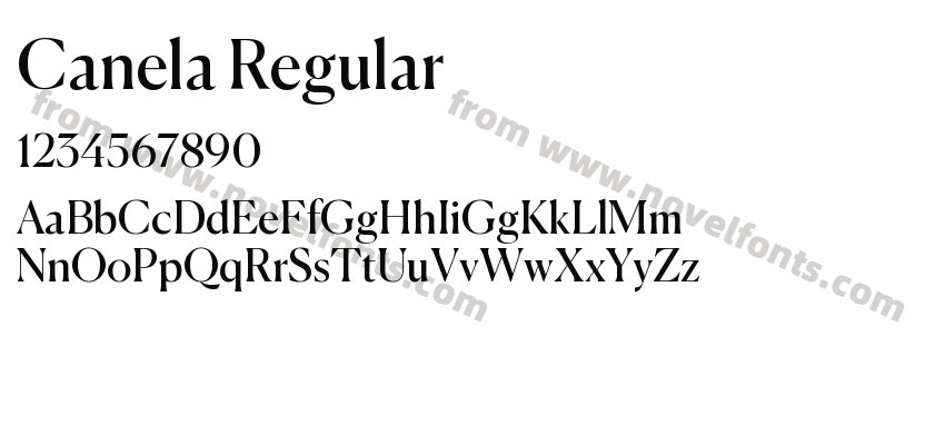Canela RegularPreview