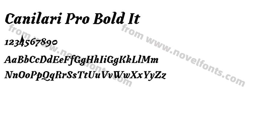 Canilari Pro Bold ItPreview