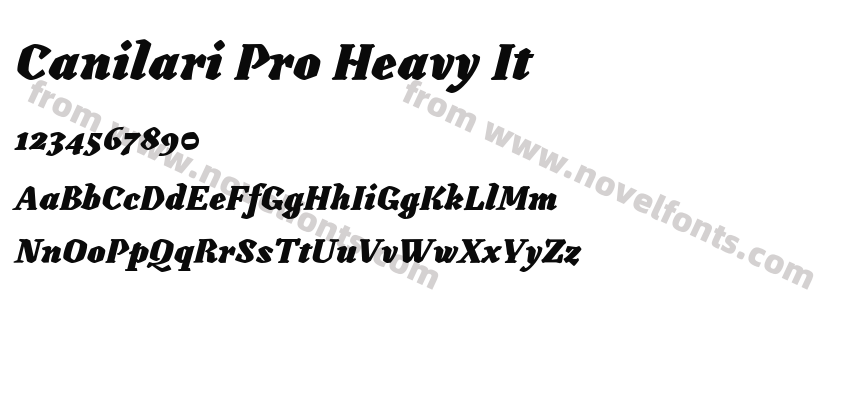 Canilari Pro Heavy ItPreview