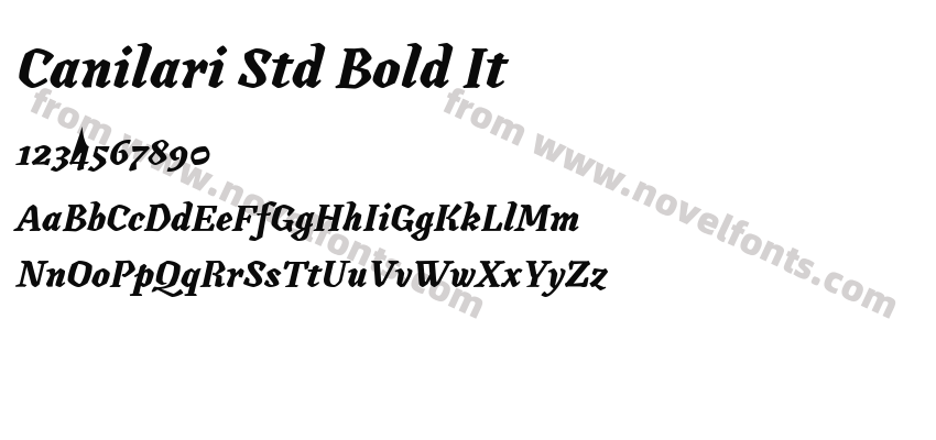 Canilari Std Bold ItPreview