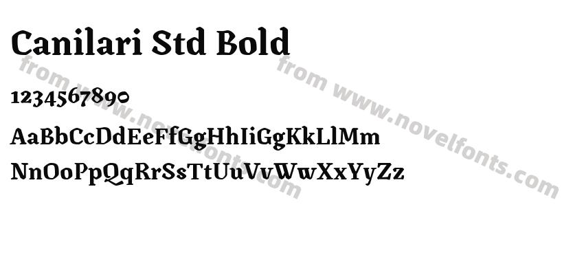Canilari Std BoldPreview