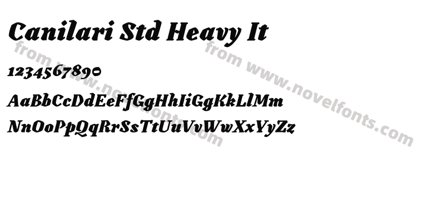 Canilari Std Heavy ItPreview