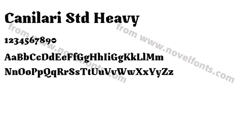 Canilari Std HeavyPreview