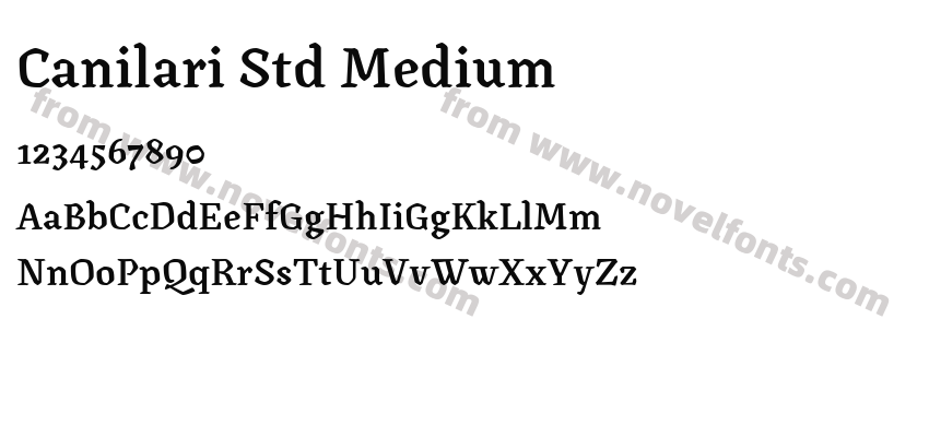 Canilari Std MediumPreview