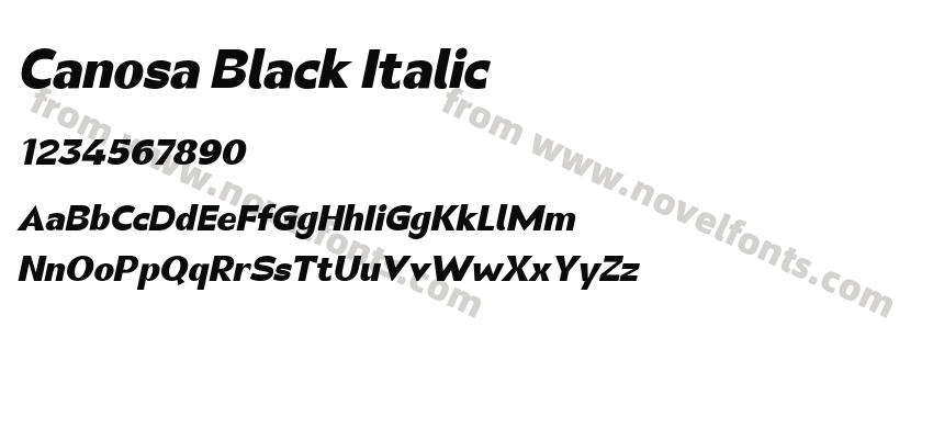 Canosa Black ItalicPreview
