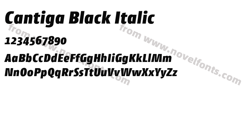 Cantiga Black ItalicPreview