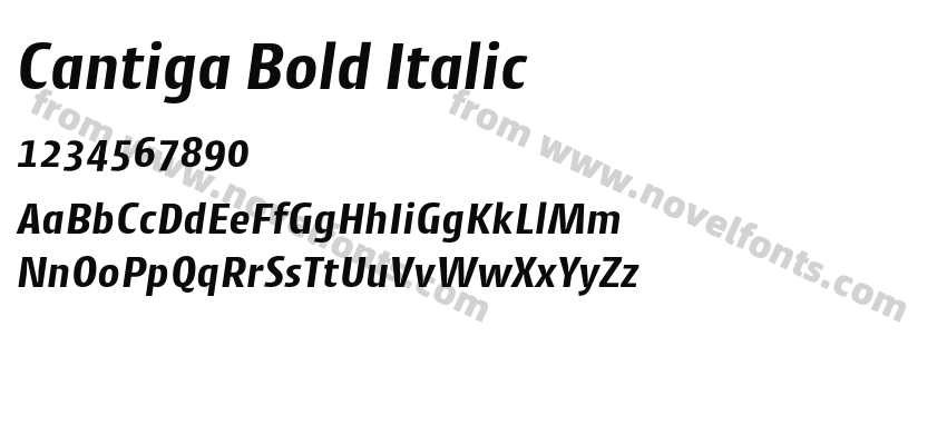Cantiga Bold ItalicPreview