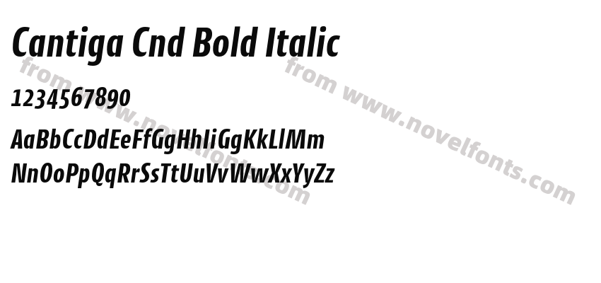 Cantiga Cnd Bold ItalicPreview