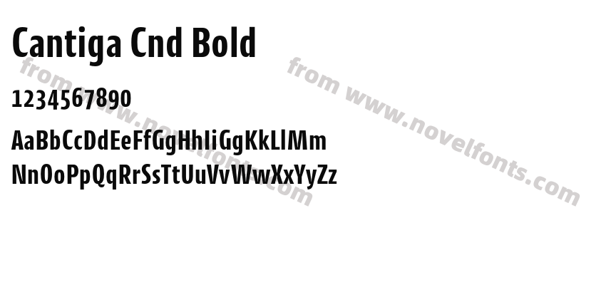 Cantiga Cnd BoldPreview