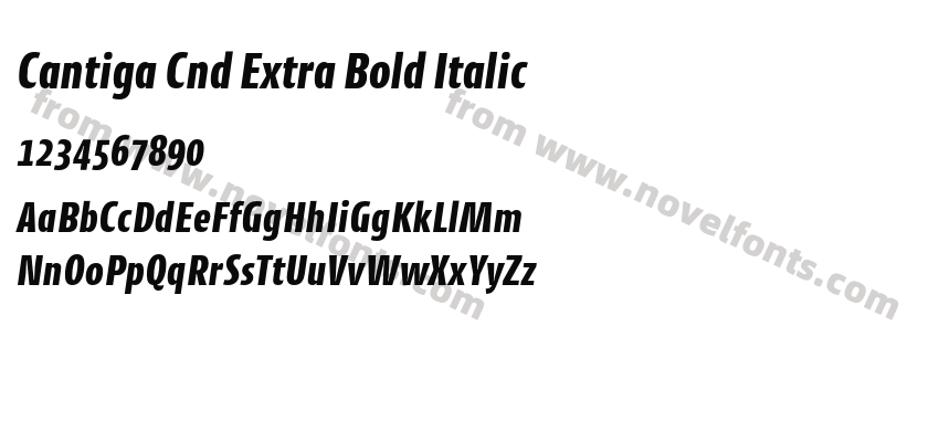Cantiga Cnd Extra Bold ItalicPreview