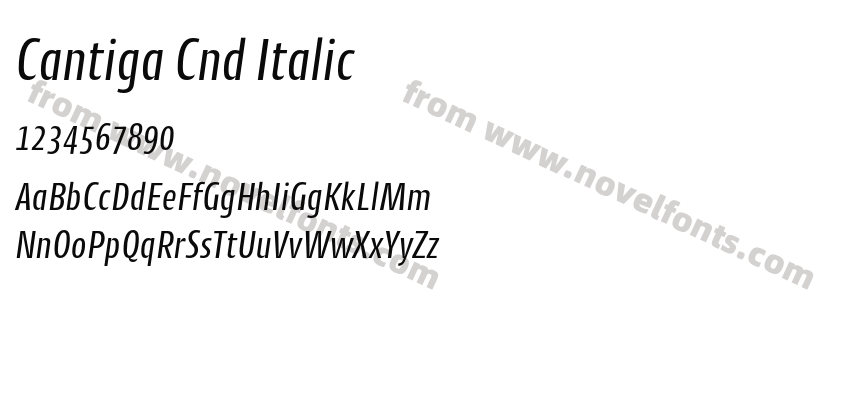Cantiga Cnd ItalicPreview