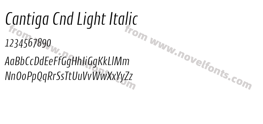 Cantiga Cnd Light ItalicPreview