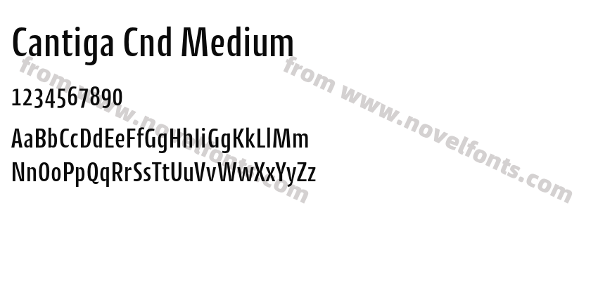 Cantiga Cnd MediumPreview