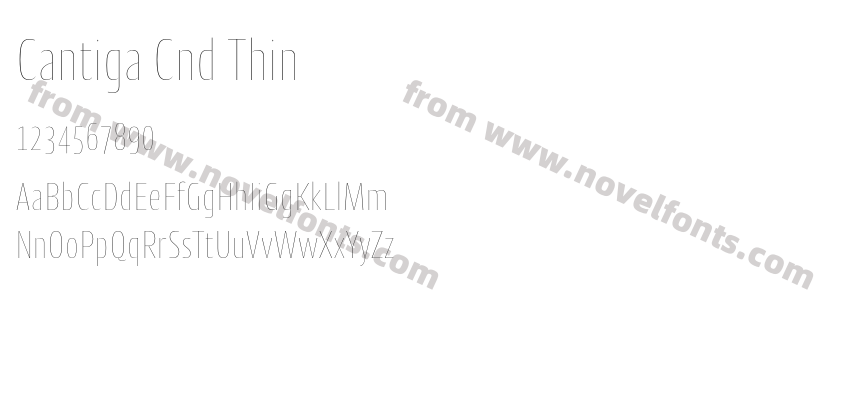 Cantiga Cnd ThinPreview