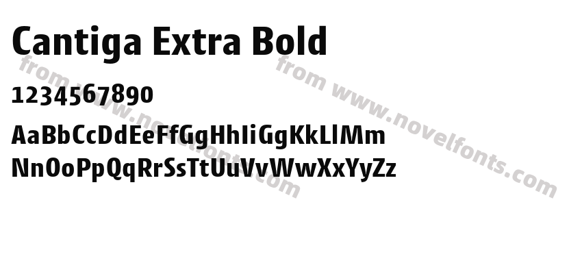 Cantiga Extra BoldPreview