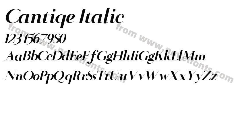 Cantiqe ItalicPreview