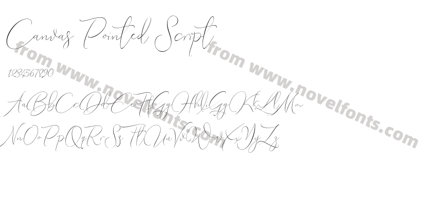 Canvas Pointed ScriptPreview