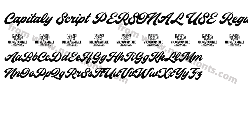 Capitaly Script PERSONAL USE RegularPreview