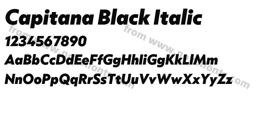 Capitana Black ItalicPreview