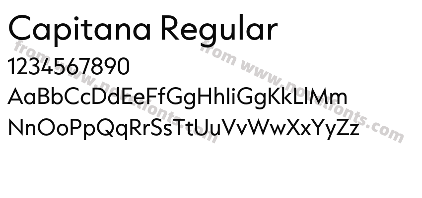 Capitana RegularPreview