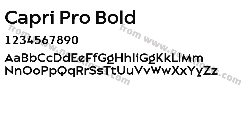 Capri Pro BoldPreview