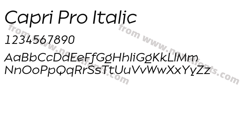 Capri Pro ItalicPreview