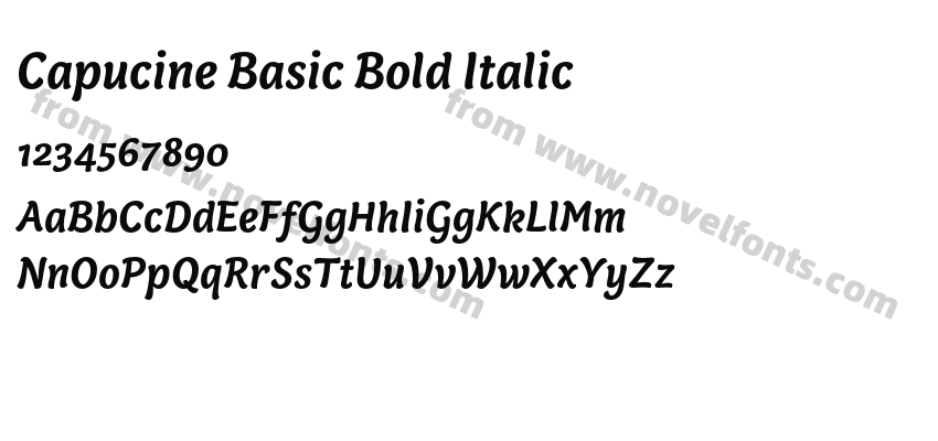 Capucine Basic Bold ItalicPreview