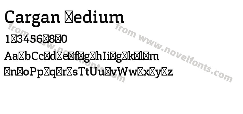 Cargan MediumPreview
