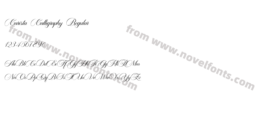 Carista Calligraphy RegularPreview