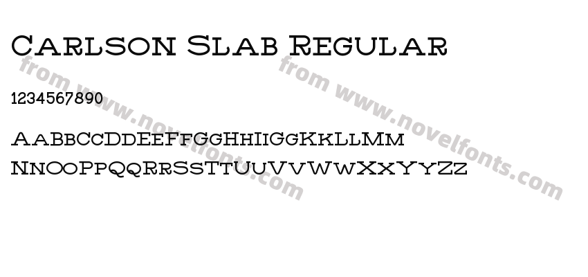 Carlson Slab RegularPreview