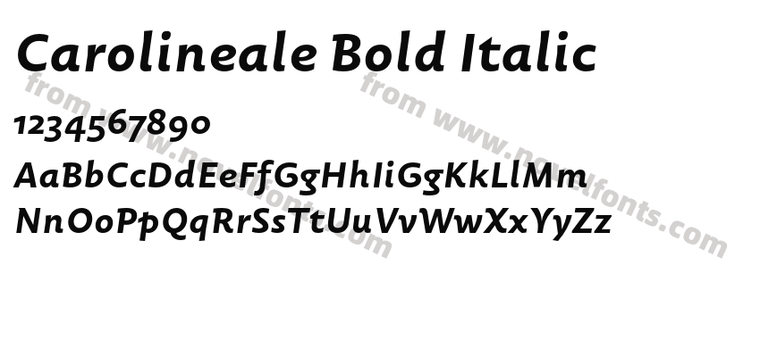 Carolineale Bold ItalicPreview