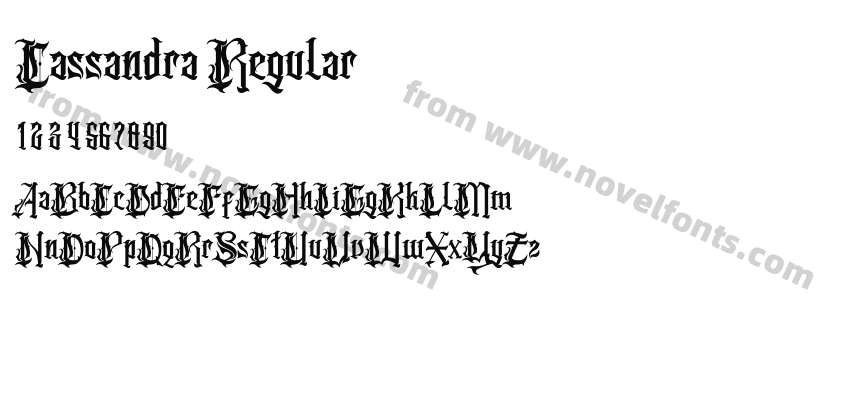 Cassandra RegularPreview