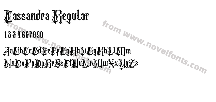 Cassandra RegularPreview