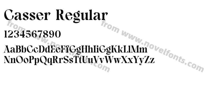 Casser RegularPreview