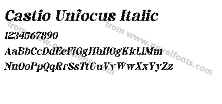 Castio Unfocus ItalicPreview