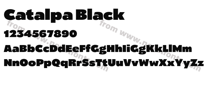 Catalpa BlackPreview
