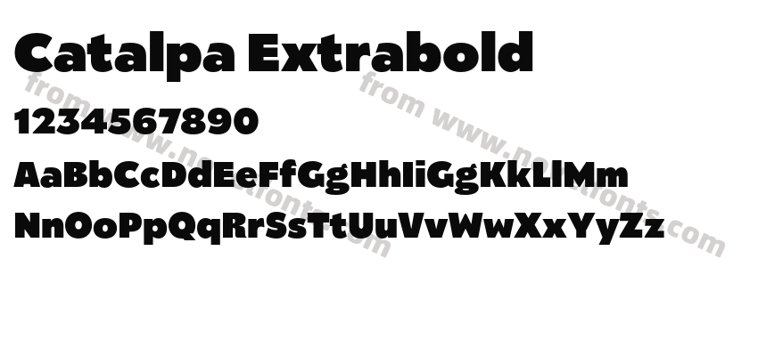 Catalpa ExtraboldPreview