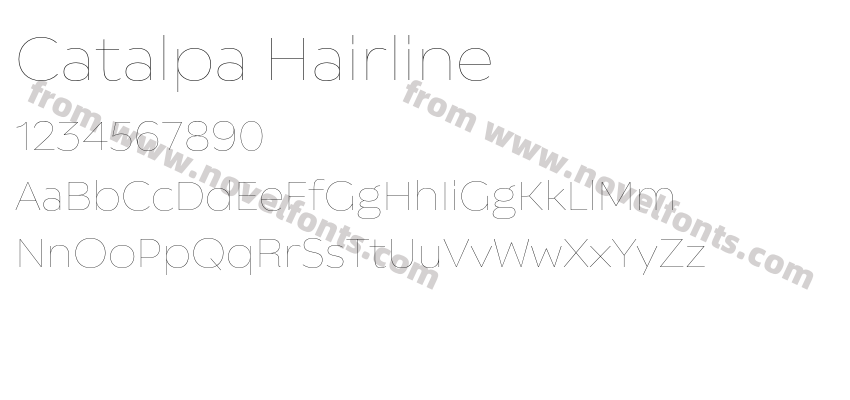 Catalpa HairlinePreview